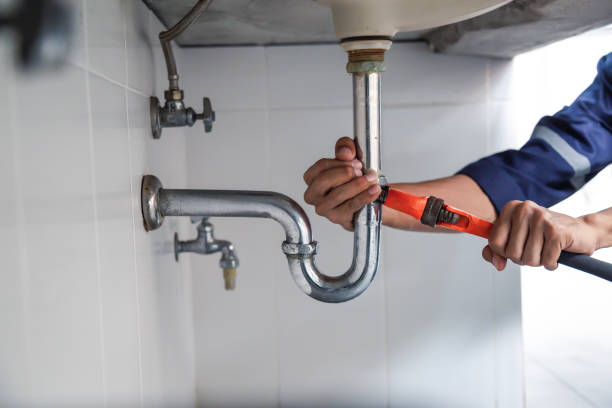 Best Same-Day Plumbing Service  in Avonia, PA